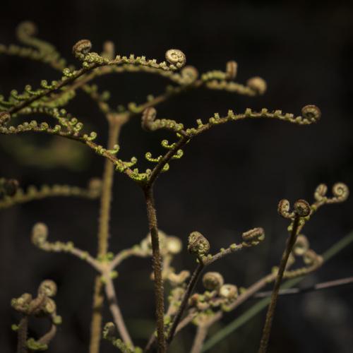 Photo #3808659