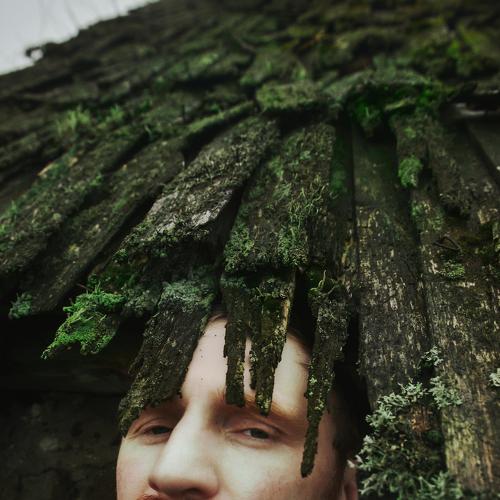 Photo #3808675