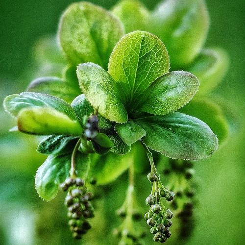 Photo #3808723