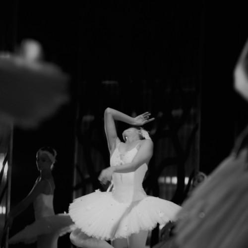 Photo #3808818