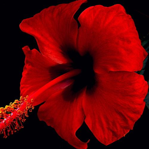 Photo #3808897