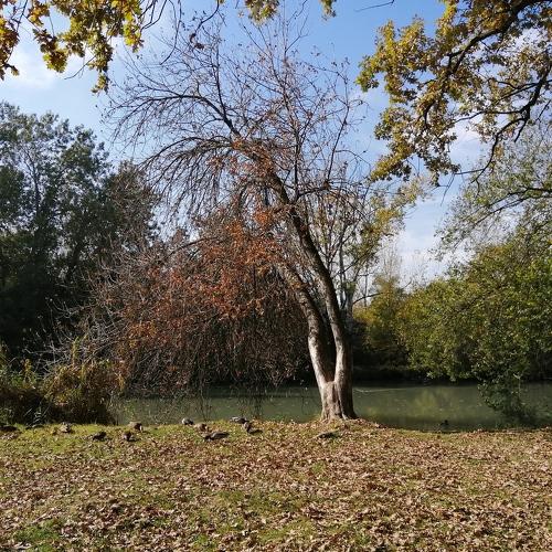 Photo #3808934