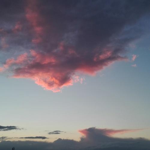 Photo #3808974