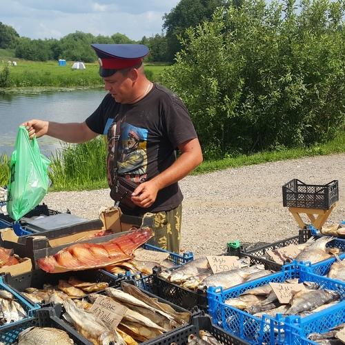 Photo #3809120