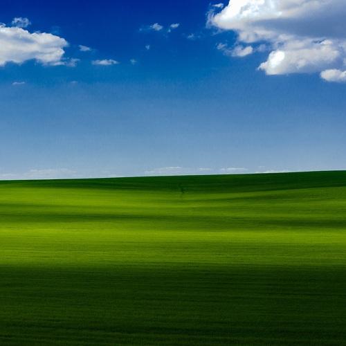 Photo #3809233