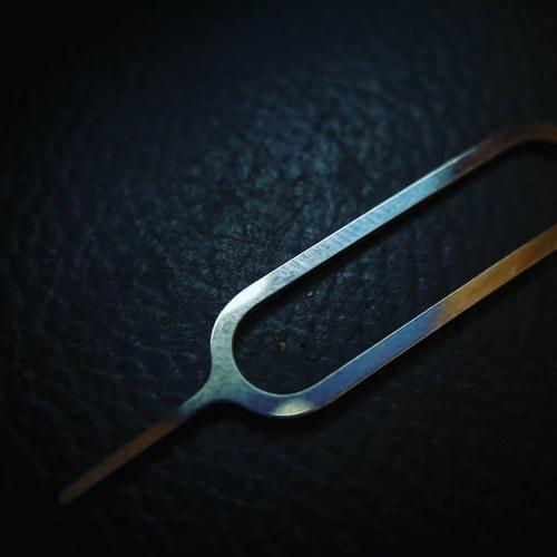 Photo #3809739