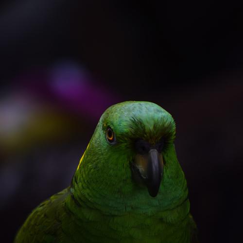 Photo #3809886