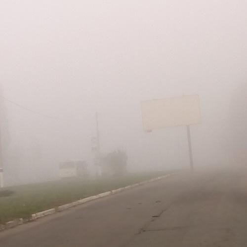 Photo #3810432