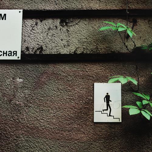 Photo #3810473