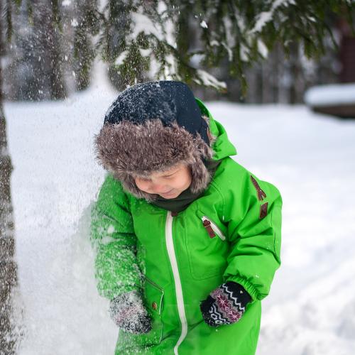 Photo #3810654