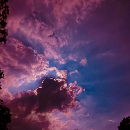 Photo #3810780
