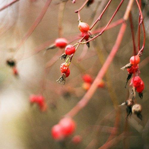 Photo #3811078