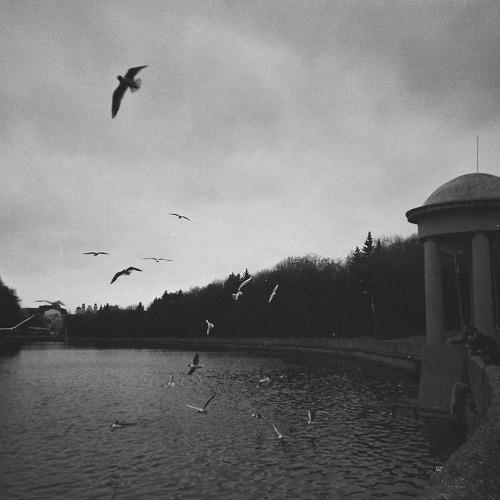 Photo #3811127
