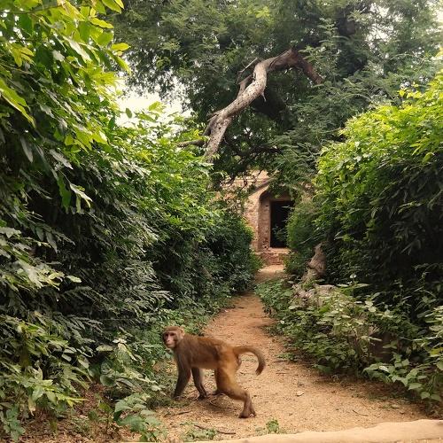 Photo #3811807