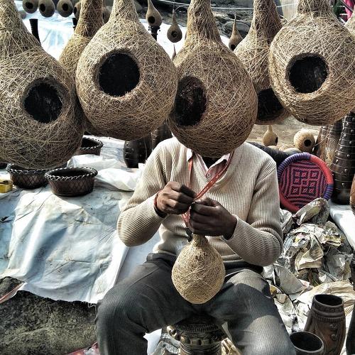 Photo #3812252