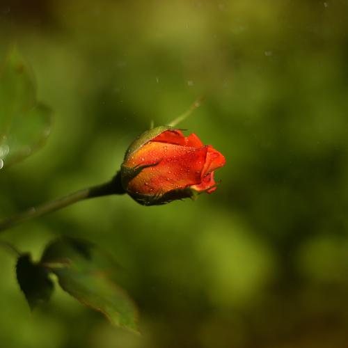 Photo #3812427