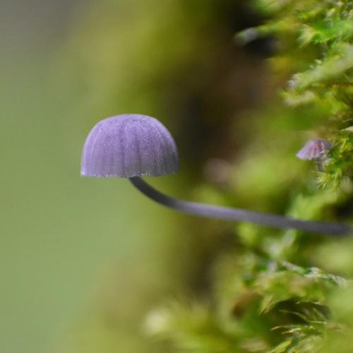Photo #3813659