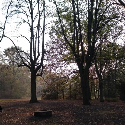 Photo #3814018