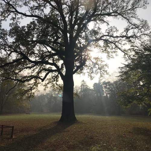 Photo #3814021