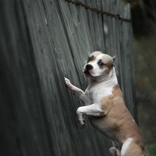 Photo #3814088