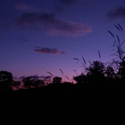 Photo #3814286