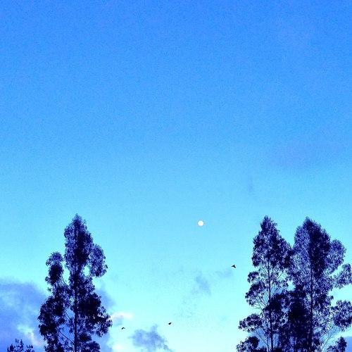 Photo #3814287