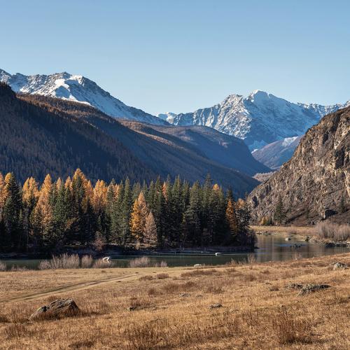 Photo #3814297