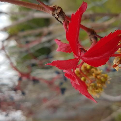 Photo #3814712