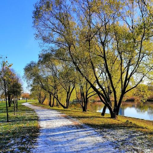 Photo #3814720