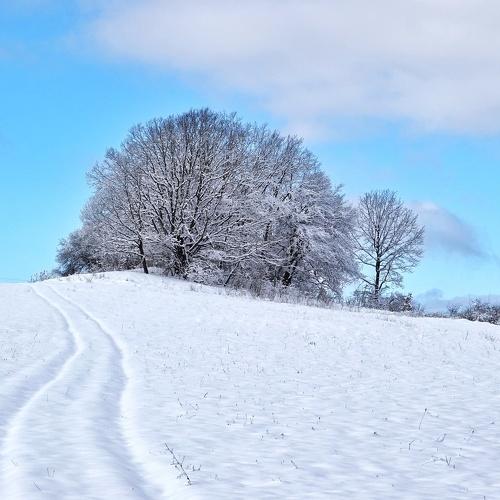 Photo #3814776