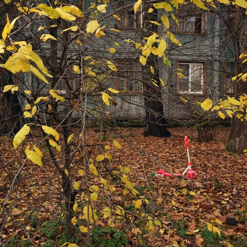Photo #3815173
