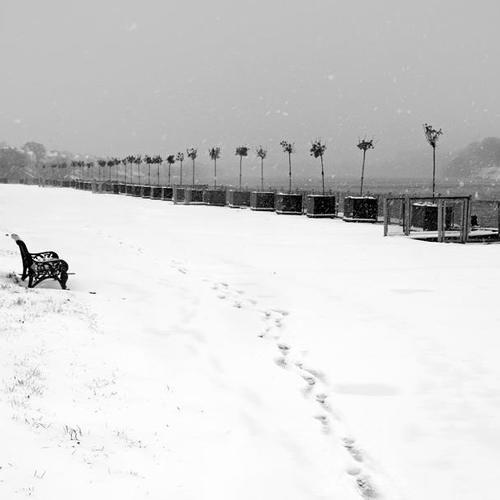 Photo #3815187