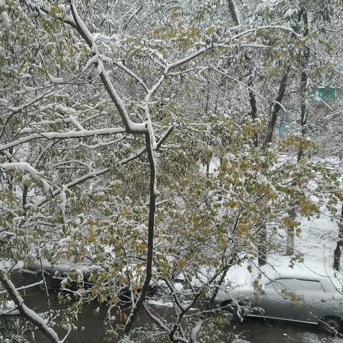 Photo #3815724