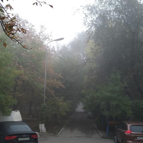 Photo #3815725