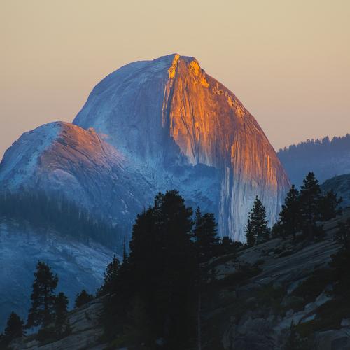 Photo #3815880