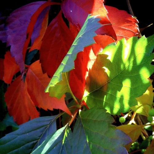 Photo #3815972