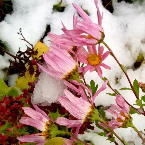 Photo #3816005