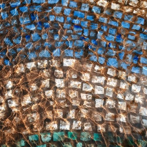 Photo #3816105