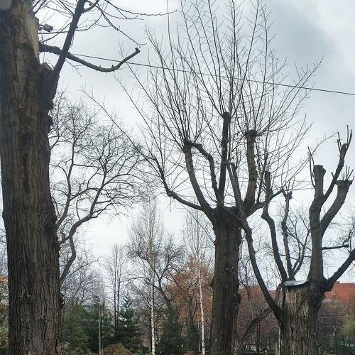 Photo #3816145