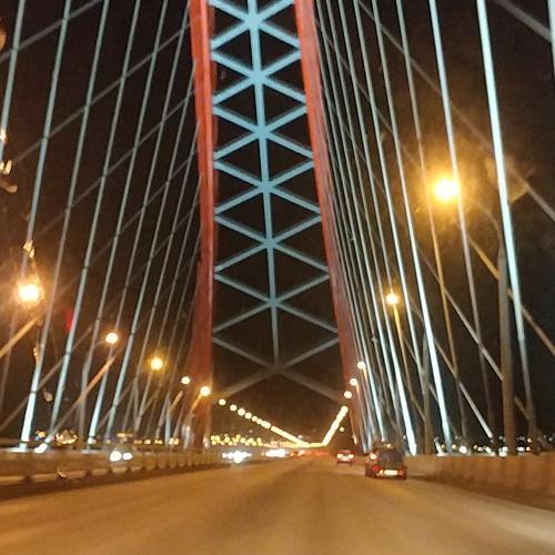 Photo #3816158