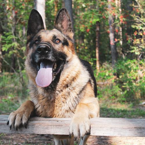 Photo #3816581