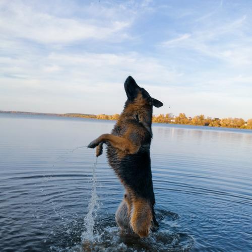 Photo #3816589