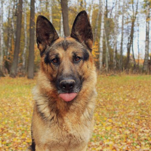 Photo #3816656
