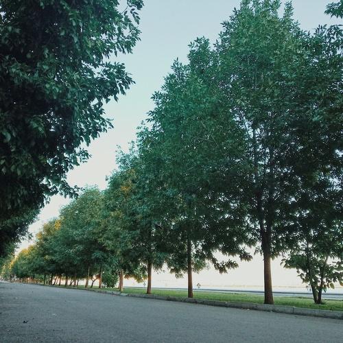 Photo #3816668