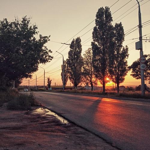 Photo #3816675