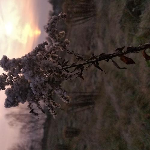 Photo #3816768