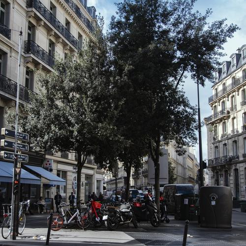Photo #3816992