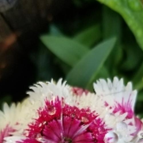 Photo #3817144