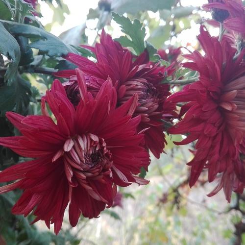 Photo #3817159