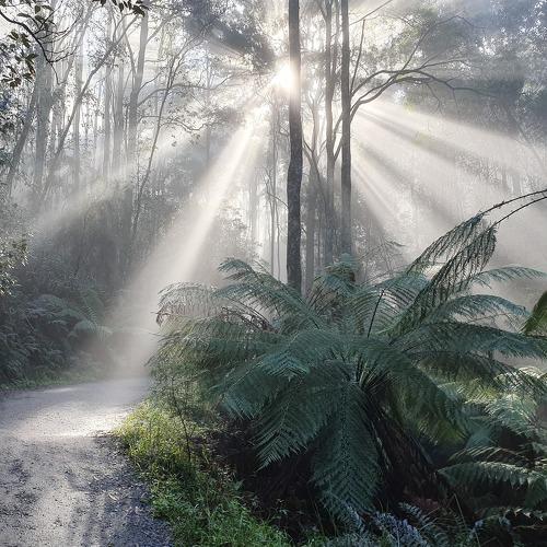 Photo #3817365